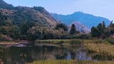 春花，秋月，夏日，冬雪，你若盛开，清风自来。