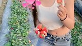 地里的草莓再甜，也没有你的情话甜