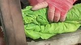 烟怎么没有粗加工，就开始切丝呢