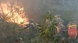 广东肇庆羚羊峡附近突发山火 官方：消防已到场扑救，火情可控