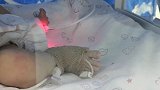 江苏男婴腹中竟“怀”上胎儿：发育9周被手术取出