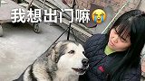 洛洛撒娇想出去玩，奶奶吓唬它说外面有偷狗的，这货的反应太逗了