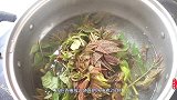 香椿别再炒鸡蛋了，教你新吃法，不炒不蒸也不煮，鲜美软嫩超好吃