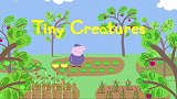 小猪佩奇 全集  住在生菜里的小生物