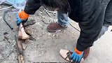 哎玛，我爸抠门到家了，啥都不能扔！