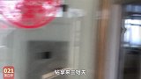 农民王小：叮叮当当娘仨干啥呢这东西农村挺精贵，效果咋样
