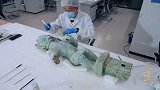 #2025年第一季度优秀网络视听作品# 网络纪录片《重返三星堆》 以文物为题，用长达五年的全景式跟踪记录去诠释那些承载三星人梦想与记忆的国宝级文物