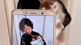 再见，下次见面希望能认得我奔跑吧哈士奇