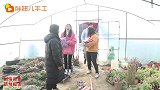 多肉园2:比赛用粘土做多肉,同学们做的各有千秋,谁的最好看