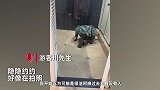 男子趴女厕地面拿手机偷拍，游客发现大吼吓唬，被抓后落荒而逃