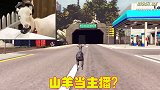 专业人士玩游戏，山羊也能当主播，黑帮老大评价游戏不真实