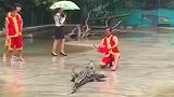 怎么我也被吓了一跳，一时分不清谁吓的谁了