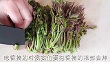 新鲜香椿怎么保存教你一招，这样存放一年也不会坏！