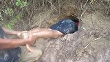 洪水退后，男子直接钻进河道旁的泥洞，这下赚大了！