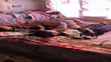 这女的模仿公鸡打鸣，没想到最后太搞笑了！