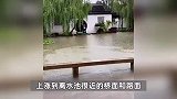 苏州园林被淹？官方称网传信息片面夸大，园林目前正常开放