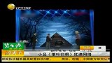 落叶归根红遍网络