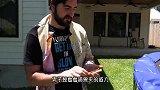 作死老外跳进鳄鱼池，鳄鱼：我没点自助餐啊
