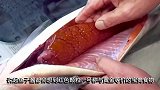 世上最贵的鱼子酱，一般人吃一口就破产，放你面前您敢吃一口吗