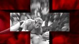 WWE-安东尼奥塞萨罗个人出场秀-花絮