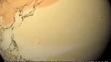 大自然的狂暴，假如地球只剩下极寒的冬季和灼热的夏季，会怎样？