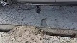 水泥路面还没干，轿车直接碾压而过