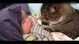 小猫咪看着小宝宝睡觉，接下来的举动太可爱了！
