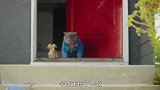 机车鸭离家出走，猫咪苦心四处寻找，搞笑萌宠短片《猫朋鸭友》