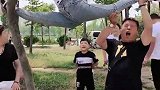 小姨是好小姨，就是有点皮！