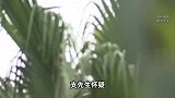 7楼8楼闹矛盾3年,9楼崩溃:7楼搬走远程震楼