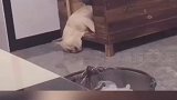 哪个是你的睡姿