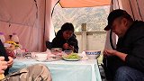 自驾穷游中国，露营在野外，来车友了，川妹子摘点野菜来招待