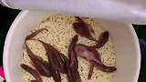 泡面里加了新鲜小鱼，这一碗实在太鲜了