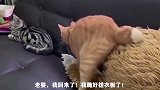 下来玩会呗老弟，我保证不会吃你的，你看我真诚的眼神还不确定吗
