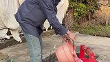 我的农村生活