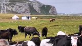 新疆骑行，独库公路打卡