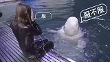 白鲸：专业吐口水20年，就问你服不服！
