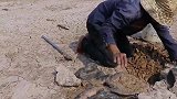 干旱的泥地里也有鱼？农村小哥挖开一瞧，直呼赚大了！