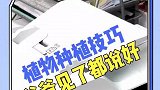 种植小技巧来了，看完视频的你学会了吗？快去试试吧