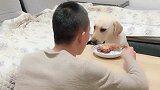 主人为了吃鸡腿，用拖鞋自残，接下来赛文的举动成精了