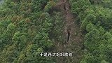 现场！贵州一地疑山体开裂现巨大裂痕，村民称看不见底，当地回应