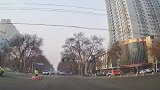 狗狗都比爱闯红灯的人强！