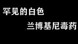 兰博基尼毒药都知道很帅，罕见的白色你见过吗？