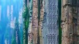 这是个电梯