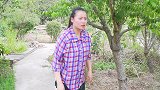 四川方言：婆娘凶得很，老汉太造孽，老表夹在中间太难了！
