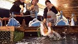 日本最神奇的餐厅，吃鱼还要自己钓，想吃海鲜自己夹