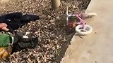 让男人来看娃，就像是车祸现场