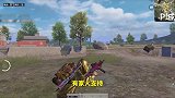 游戏里的骚操作