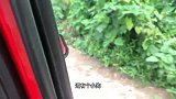 一只在路边等死的小奶狗，要么被车压死，被饿死，决定给它找个家