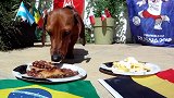买定离手！香肠狗预测巴西2-0比利时 曾14中12命中率